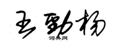 朱錫榮王勁楊草書個性簽名怎么寫