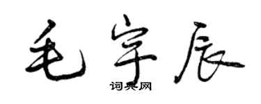 曾慶福毛宇辰行書個性簽名怎么寫
