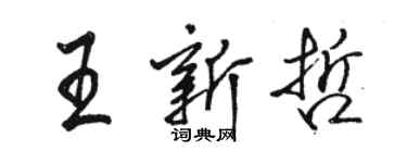 駱恆光王新哲行書個性簽名怎么寫