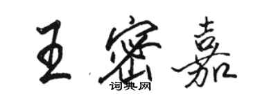 駱恆光王密嘉行書個性簽名怎么寫