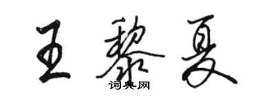 駱恆光王黎夏行書個性簽名怎么寫