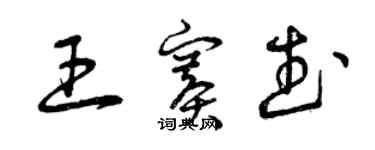 曾慶福王賽武草書個性簽名怎么寫