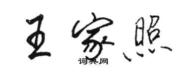 駱恆光王家照行書個性簽名怎么寫