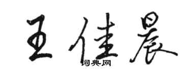 駱恆光王佳晨行書個性簽名怎么寫