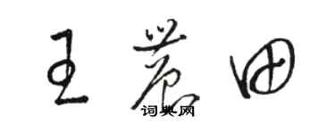 駱恆光王農田草書個性簽名怎么寫