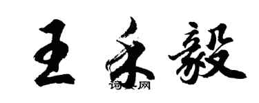 胡問遂王禾毅行書個性簽名怎么寫