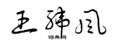 曾慶福王緯風草書個性簽名怎么寫