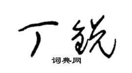 朱錫榮丁銳草書個性簽名怎么寫