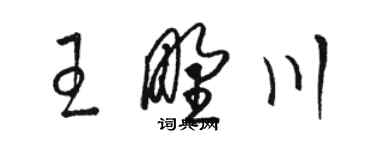 駱恆光王野川草書個性簽名怎么寫