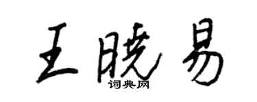 王正良王曉易行書個性簽名怎么寫