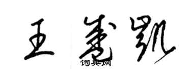 梁錦英王盛凱草書個性簽名怎么寫