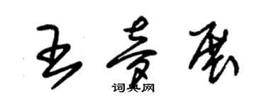 朱錫榮王夢展草書個性簽名怎么寫