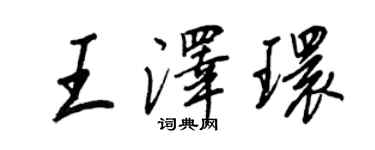 王正良王澤環行書個性簽名怎么寫