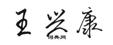 駱恆光王興康行書個性簽名怎么寫