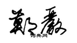 朱錫榮鄭嚴草書個性簽名怎么寫