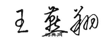 駱恆光王燕翔草書個性簽名怎么寫