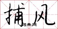 捕風怎么寫好看