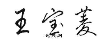 駱恆光王寶菱行書個性簽名怎么寫