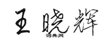 駱恆光王曉輝行書個性簽名怎么寫