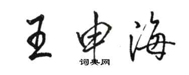 駱恆光王申海行書個性簽名怎么寫