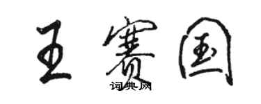 駱恆光王賽國行書個性簽名怎么寫