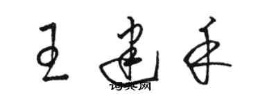 駱恆光王建禾草書個性簽名怎么寫