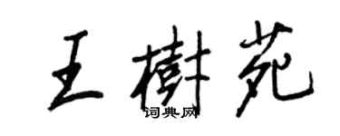 王正良王樹苑行書個性簽名怎么寫