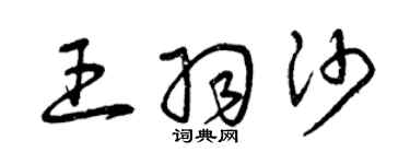 曾慶福王羽沙草書個性簽名怎么寫