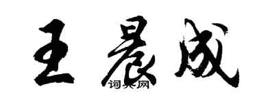 胡問遂王晨成行書個性簽名怎么寫