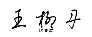 梁錦英王柳丹草書個性簽名怎么寫