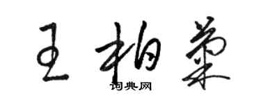 駱恆光王柏菊草書個性簽名怎么寫