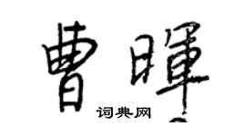 王正良曹暉行書個性簽名怎么寫