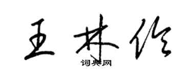 梁錦英王林伶草書個性簽名怎么寫