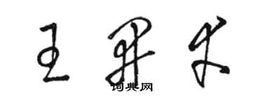 駱恆光王開幸草書個性簽名怎么寫