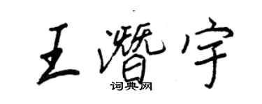 王正良王潛宇行書個性簽名怎么寫