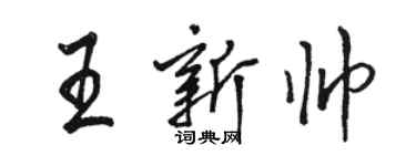 駱恆光王新帥行書個性簽名怎么寫