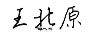 王正良王北原行書個性簽名怎么寫