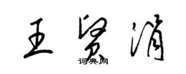 梁錦英王賢涓草書個性簽名怎么寫