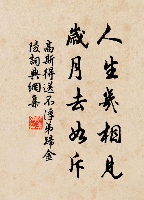 高斯得人生幾相見,歲月去如斥書法作品欣賞