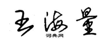 朱錫榮王海量草書個性簽名怎么寫