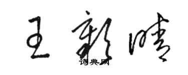 駱恆光王彰晴草書個性簽名怎么寫