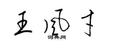 梁錦英王風才草書個性簽名怎么寫