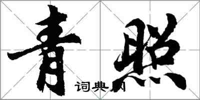 胡問遂青照行書怎么寫