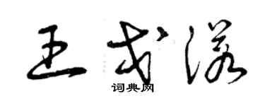 曾慶福王戈諾草書個性簽名怎么寫