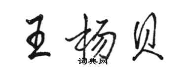駱恆光王楊貝行書個性簽名怎么寫
