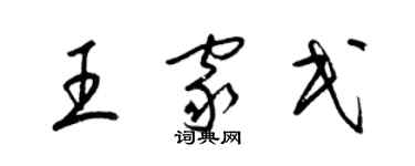 梁錦英王家民草書個性簽名怎么寫