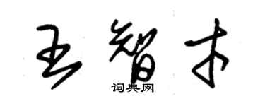 朱錫榮王智才草書個性簽名怎么寫