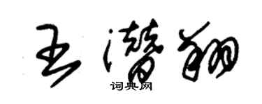 朱錫榮王潛翔草書個性簽名怎么寫