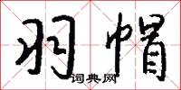 羽紗的意思_羽紗的解釋_國語詞典