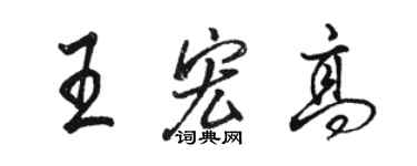 駱恆光王宏高行書個性簽名怎么寫